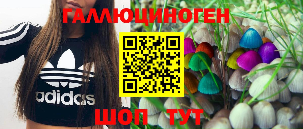 Псилоцибиновые грибы Cubensis Борзя