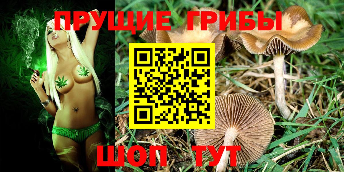 Галлюциногенные грибы Magic Shrooms  Вход с VPN  Борзя 
